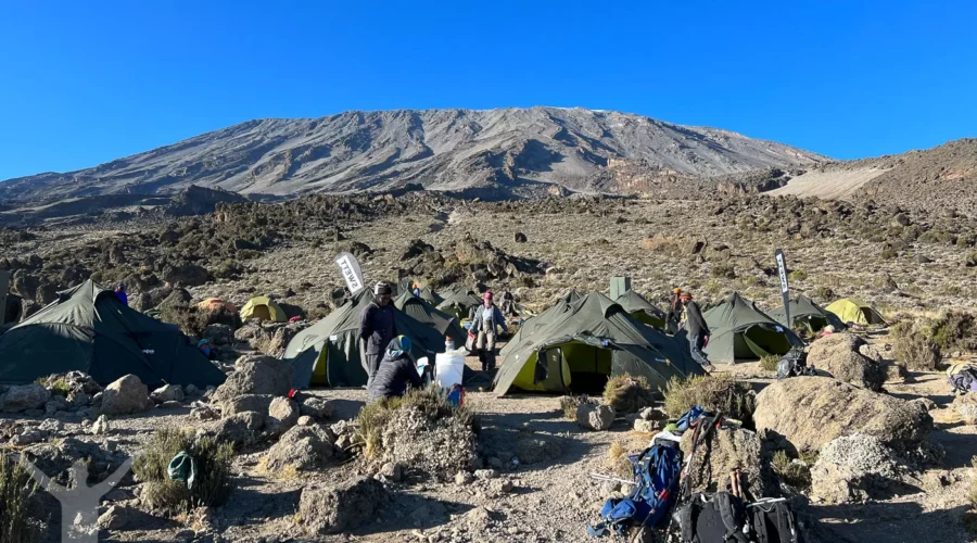 9-Day Mount Kilimanjaro Expedition on the Scenic Northern Circuit Route In 2026, 2027 & 2028