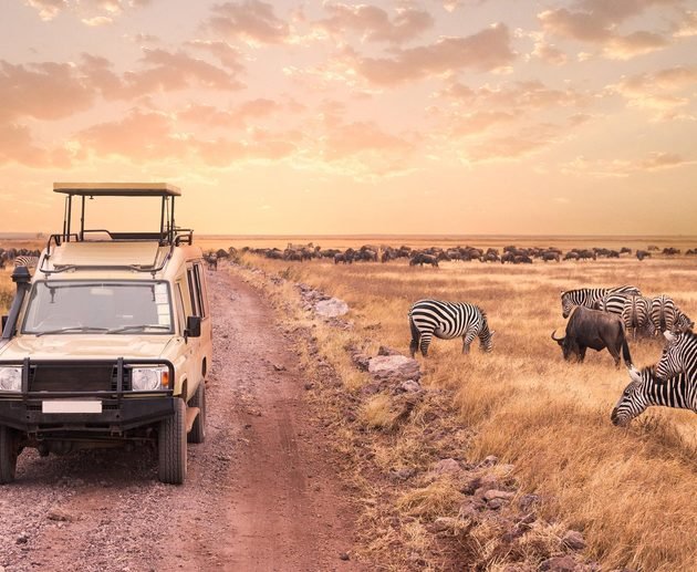 Ultimate 5-Day Tanzania Safari: Arusha National Park, Lake Manyara, Serengeti National Park & Ngorongoro Crater