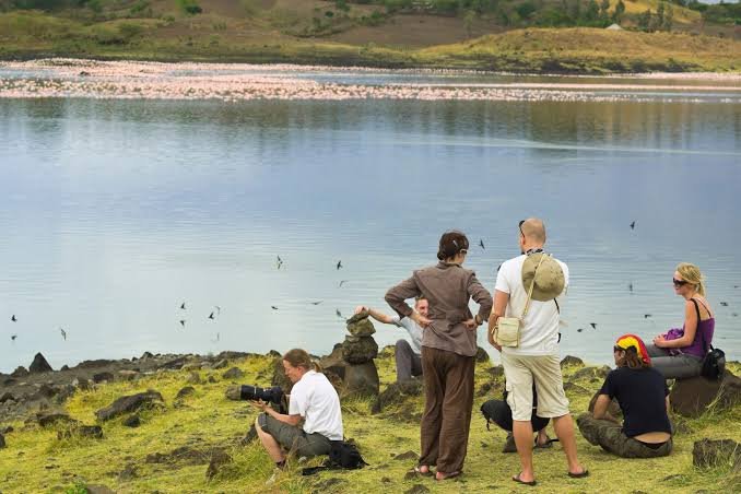Everything You Should Know About Tanzania Walking Safaris in 2027, 2028 and 2029