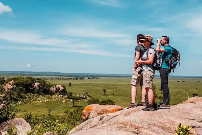 Everything You Should Know About Tanzania Walking Safaris in 2027, 2028 and 2029