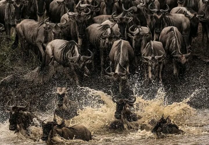 From Tarangire to Serengeti: 5-Day Tanzania Camping Safari in 2026,2027&2028