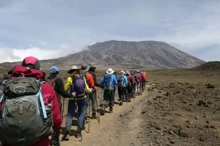 10-Day Kilimanjaro and Serengeti Combo Tour: Summit Africa’s Highest Peak & Witness the Big Five 10-Day Kilimanjaro and Serengeti Combo Tour: Summit Africa’s Highest Peak & Witness the Big Five