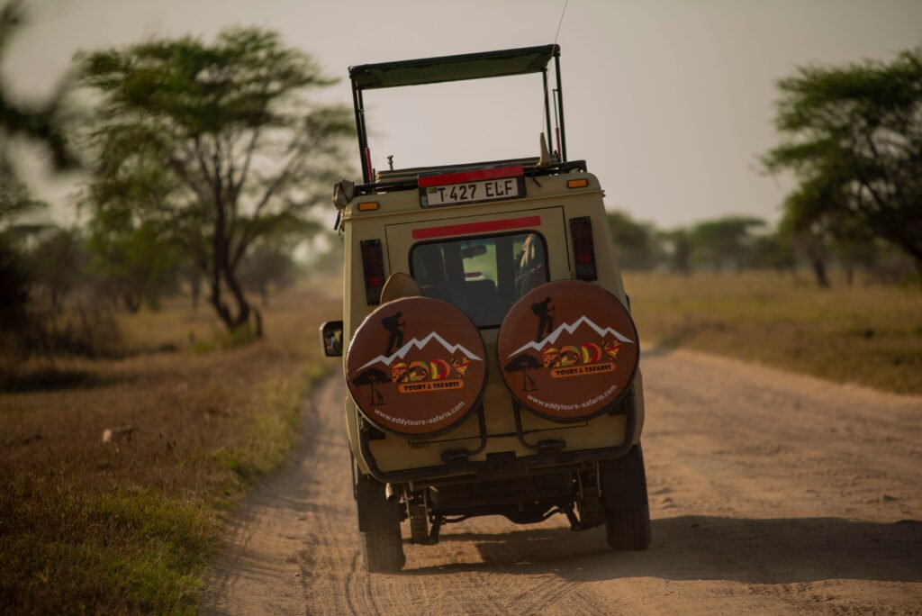 The ultimate 8-Day Tanzania Safari: Tarangire, Serengeti & Ngorongoro Crater (2026–2028)