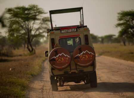 The ultimate 8-Day Tanzania Safari: Tarangire, Serengeti & Ngorongoro Crater (2026–2028)