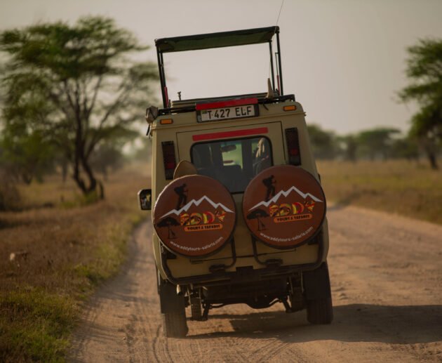 The ultimate 8-Day Tanzania Safari: Tarangire, Serengeti & Ngorongoro Crater (2026–2028)