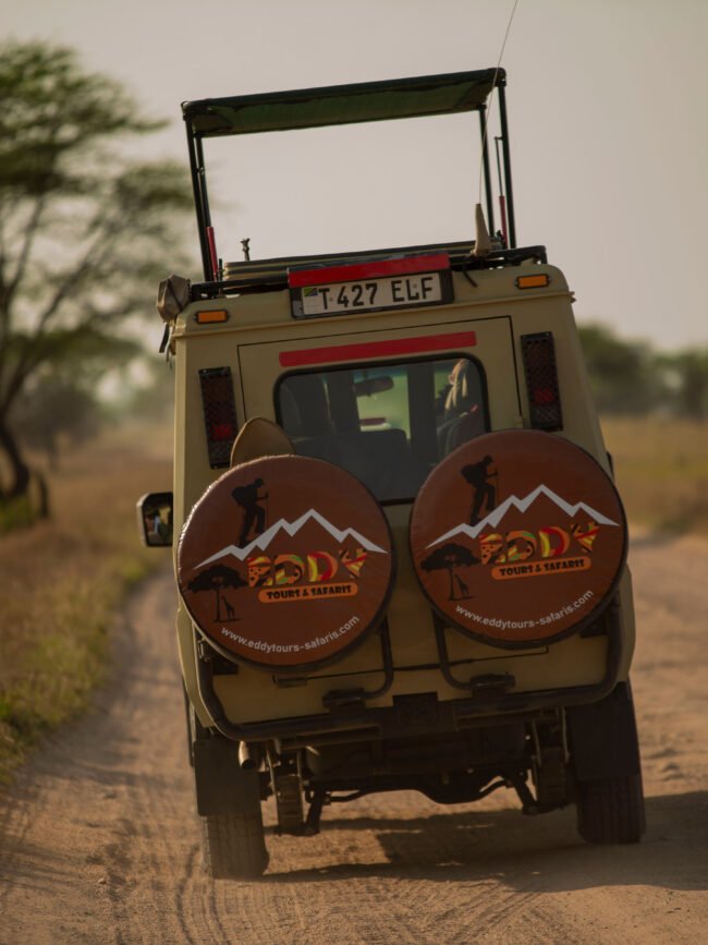 The ultimate 8-Day Tanzania Safari: Tarangire, Serengeti & Ngorongoro Crater (2026–2028)
