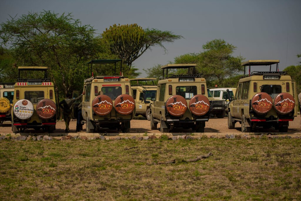The three 3-days Itinerary Tanzania Safari to Tarangire, Lake Manyara/Ngorongoro