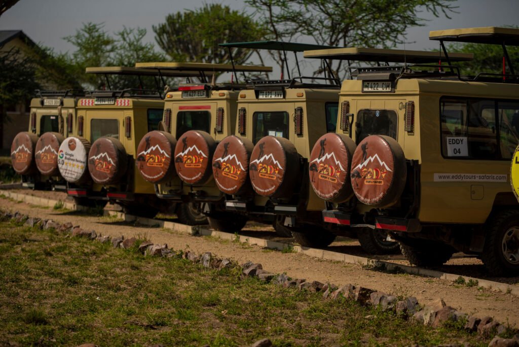 Ultimate 6 Days Tanzania Safari Package: tarangire, Serengeti, Ngorongoro Crater in(2026-2028)