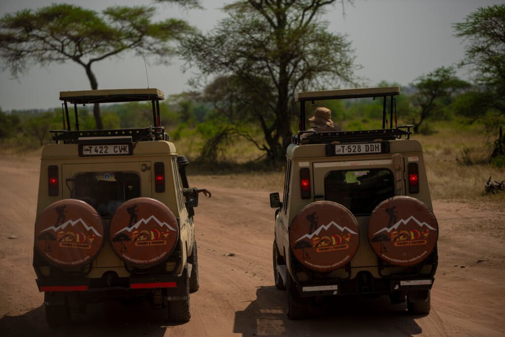 5 Things You Gain by Booking Your Tanzania Safari Far in Advance for 2026–2028 5 Things You Gain by Booking Your Tanzania Safari Far in Advance for 2026–2028
