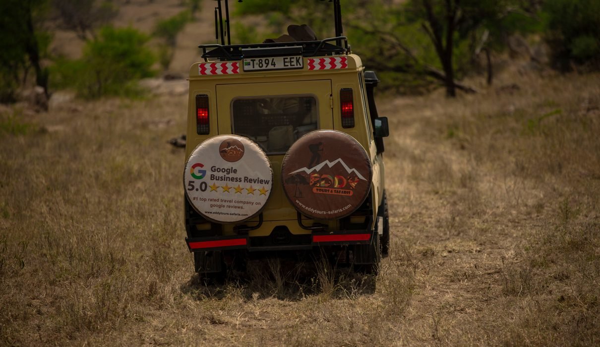 The Updated 2-Days Tanzania Sharing (Joining) Safari 2027–2028