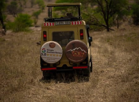 The Updated 2-Days Tanzania Sharing (Joining) Safari 2027–2028