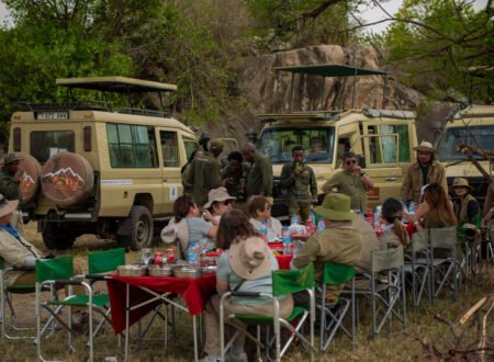 10 Things to Keep in Mind When Planning Your Tanzania Wildlife Adventure in 2026, 2027 & 2028