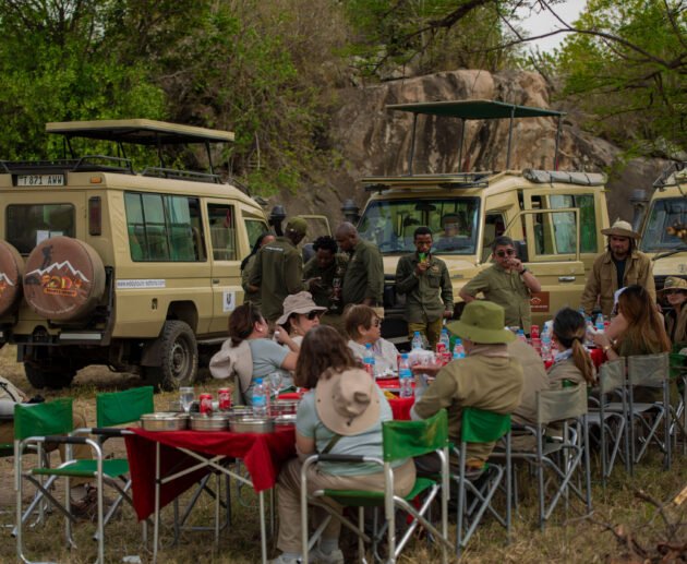10 Things to Keep in Mind When Planning Your Tanzania Wildlife Adventure in 2026, 2027 & 2028