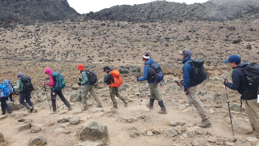 Ultimate 2026 Marangu Kilimanjaro 5 Days Trekking Tour