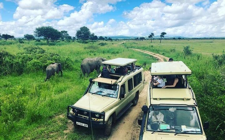 The Ultimate 10-Day Southern Circuit Safari: Wildlife, Mountains & Boat Adventures (2026–2028)