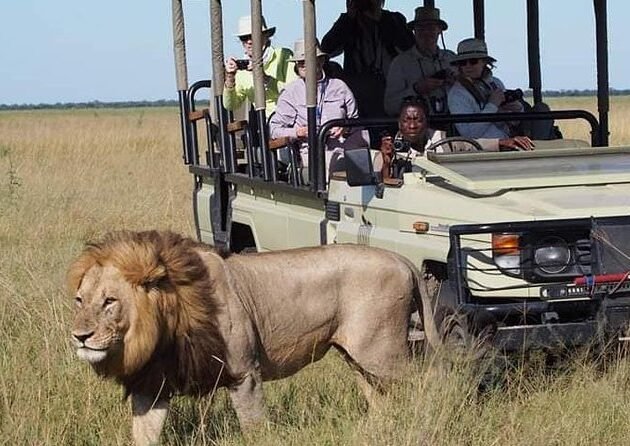Ultimate Tanzania Safari and Mount Kilimanjaro Climbing Adventure in 2026,2027&2028
