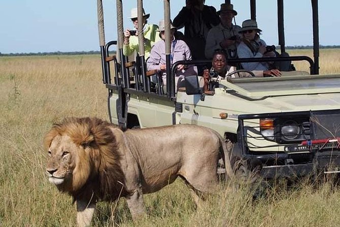 Tanzania Safari Routes Explained: Which National Parks Should You Visit on Your First Trip in 2026, 2027 & 2028 Tanzania Safari Routes Explained: Which National Parks Should You Visit on Your First Trip in 2026, 2027 & 2028