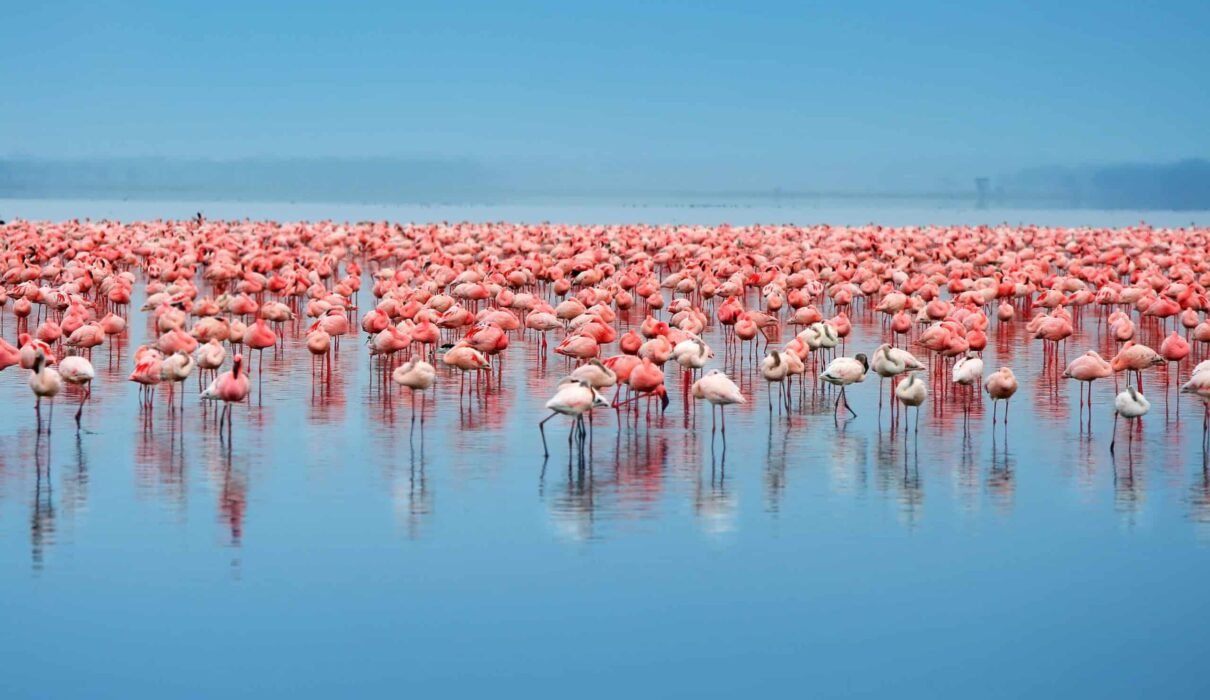 Discover Tanzania's Most Beautiful Lakes: Travel Guide for 2026–2028