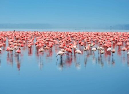 Discover Tanzania's Most Beautiful Lakes: Travel Guide for 2026–2028