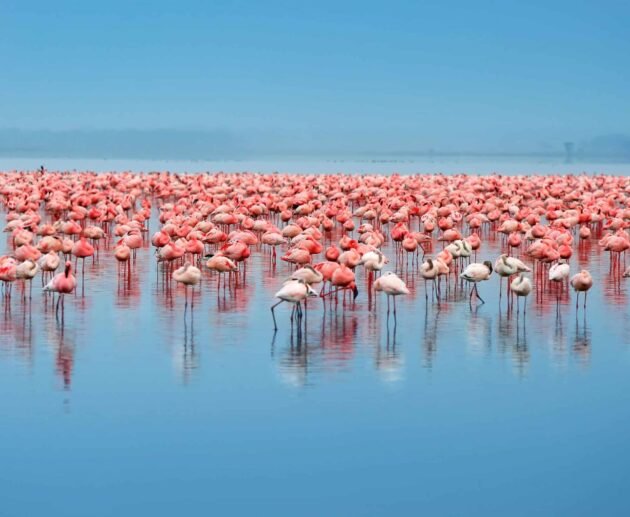 Discover Tanzania's Most Beautiful Lakes: Travel Guide for 2026–2028