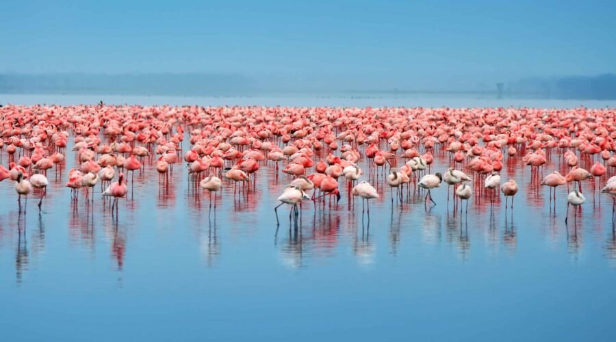 Discover Tanzania's Most Beautiful Lakes: Travel Guide for 2026–2028