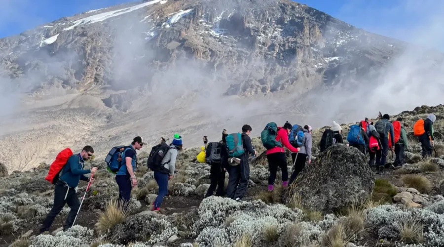Kilimanjaro Training Guide: How to Get Ready for Africa’s Highest Mountain in 2026, 2027 and 2028