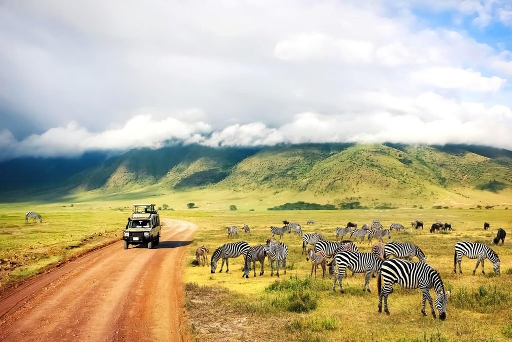 Top Safari Experiences in Africa for 2027 Adventurers