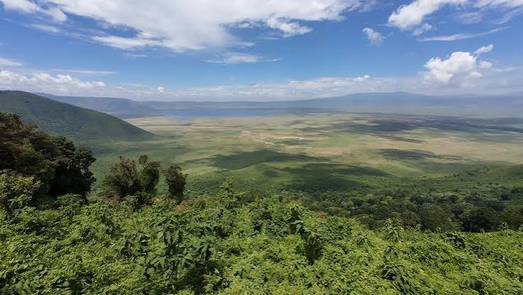 The Ultimate 10-Day Tanzania Safari & Zanzibar Escape with Eddy Tour & Safaris& Zanzibar Escape