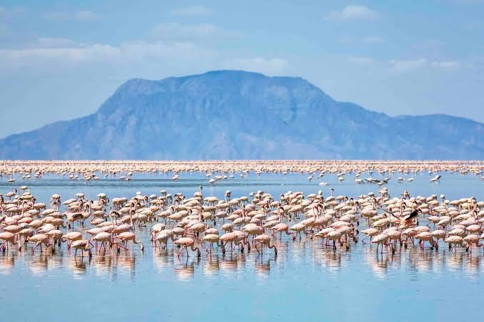 Discover Tanzania's Most Beautiful Lakes: Travel Guide for 2026–2028