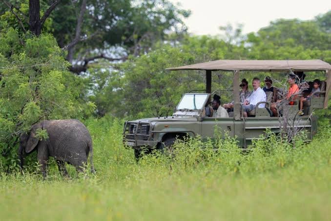 The Ultimate 10-Day Southern Circuit Safari: Wildlife, Mountains & Boat Adventures (2026–2028)