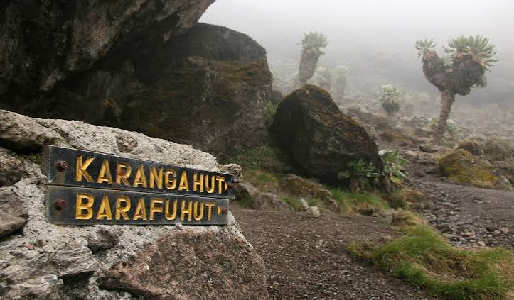Discover Serengeti, Ngorongoro & Mount Kilimanjaro in One Adventure in (2026–2028)