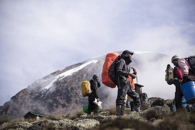 Kilimanjaro Training Guide: How to Get Ready for Africa’s Highest Mountain in 2026, 2027 and 2028 Kilimanjaro Training Guide: How to Get Ready for Africa’s Highest Mountain in 2026, 2027 and 2028