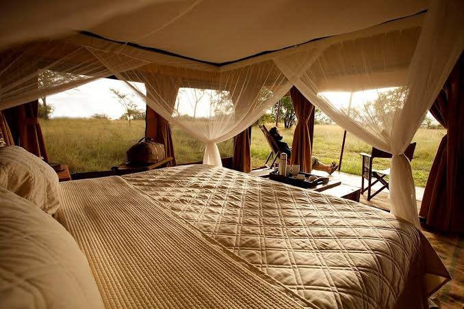 How to Choose the Best Family Safari Camps in Zanzibar and Tanzania: A Parent-Friendly Guide How to Choose the Best Family Safari Camps in Zanzibar and Tanzania: A Parent-Friendly Guide