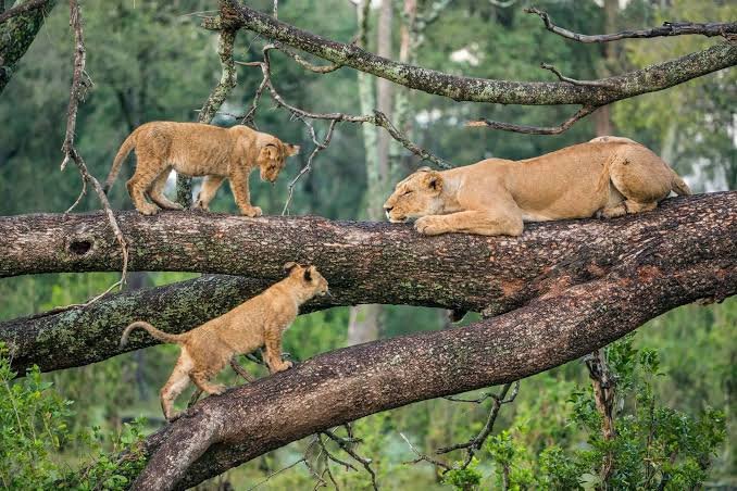 Discover Tanzania's Most Beautiful Lakes: Travel Guide for 2026–2028