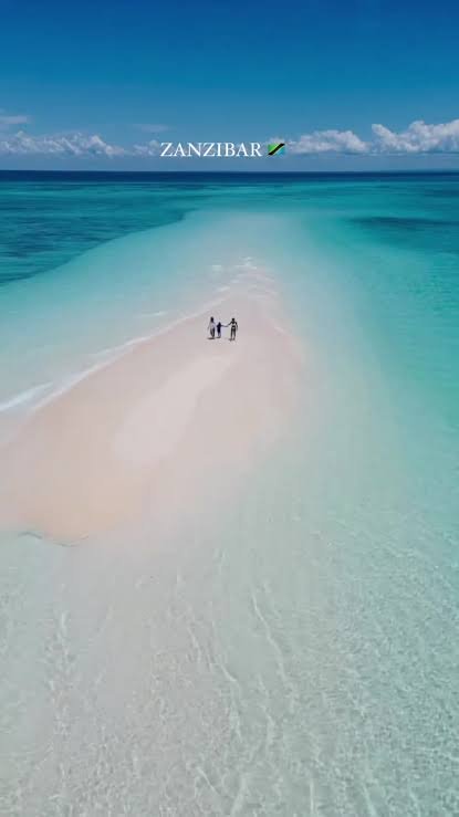 Discover Serengeti, Ngorongoro & Zanzibar with Eddy Tours and Safaris (2026, 2027 & 2028)
