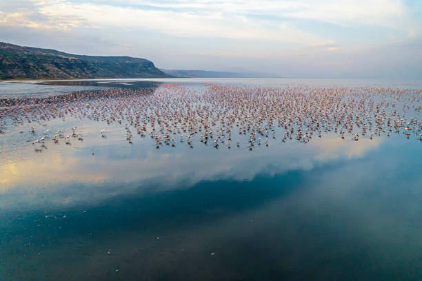 Discover Tanzania's Most Beautiful Lakes: Travel Guide for 2026–2028