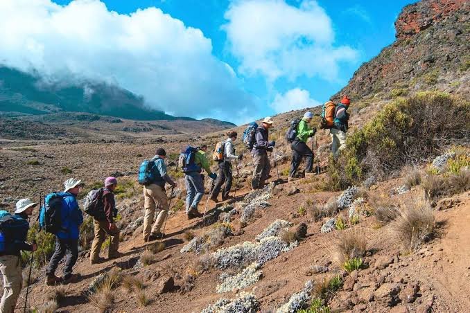 Best African Treks for 2027: Mountains, Deserts, and Forests Best African Treks for 2027: Mountains, Deserts, and Forests