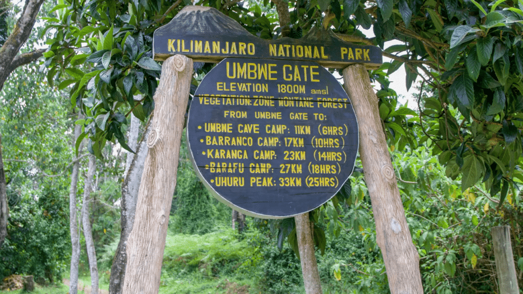 How Much Is a Kilimanjaro Climb? 2026–2028 Pricing Guide for All Routes & Packages