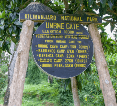 How Much Is a Kilimanjaro Climb? 2026–2028 Pricing Guide for All Routes & Packages How Much Is a Kilimanjaro Climb? 2026–2028 Pricing Guide for All Routes & Packages