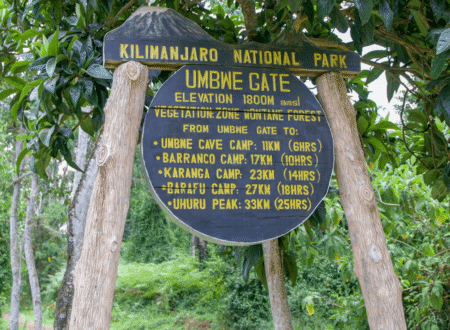 How Much Is a Kilimanjaro Climb? 2026–2028 Pricing Guide for All Routes & Packages