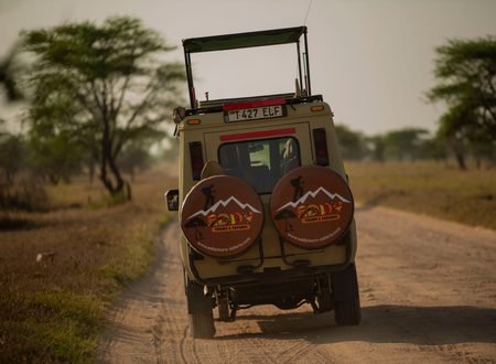 The Best 7-Day Northern Circuit Safari in Tanzania 2027/2028/2029: Complete Wildlife Safari Itinerary
