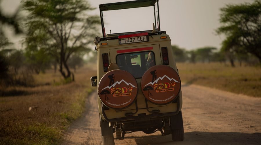 The Best 7-Day Northern Circuit Safari in Tanzania 2027/2028/2029: Complete Wildlife Safari Itinerary