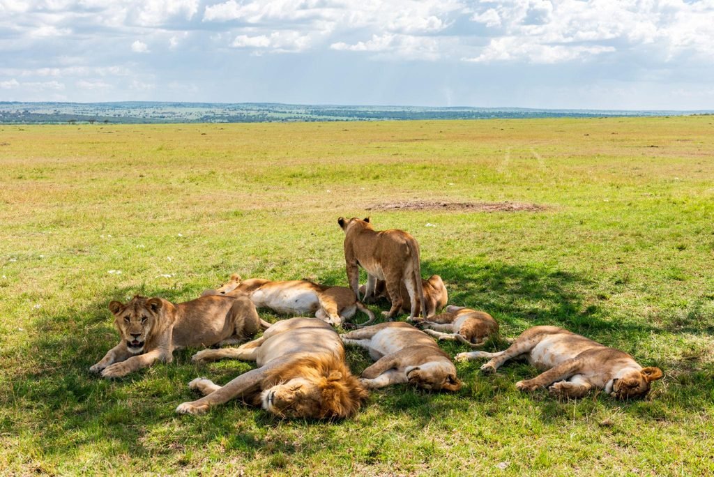 10 Ways to Travel With Purpose in Tanzania: A Guide to Meaningful and Responsible Adventures