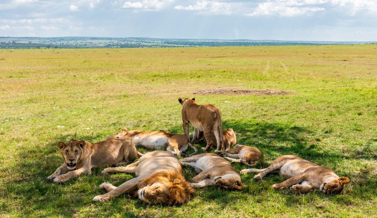 10 Ways to Travel With Purpose in Tanzania: A Guide to Meaningful and Responsible Adventures