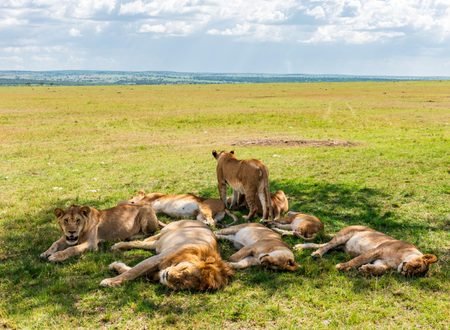 10 Ways to Travel With Purpose in Tanzania: A Guide to Meaningful and Responsible Adventures