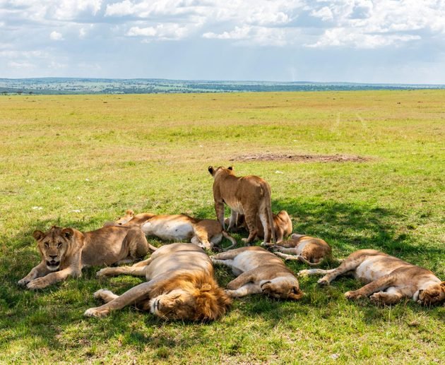 10 Ways to Travel With Purpose in Tanzania: A Guide to Meaningful and Responsible Adventures
