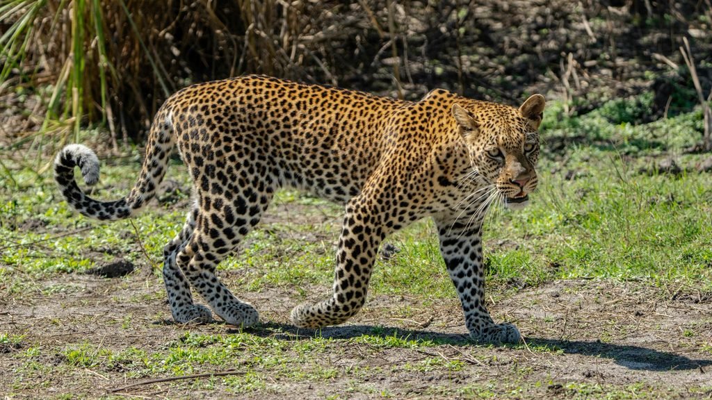 Best African Countries to Visit for Vacation in 2027: Top 10 Holiday Destinations