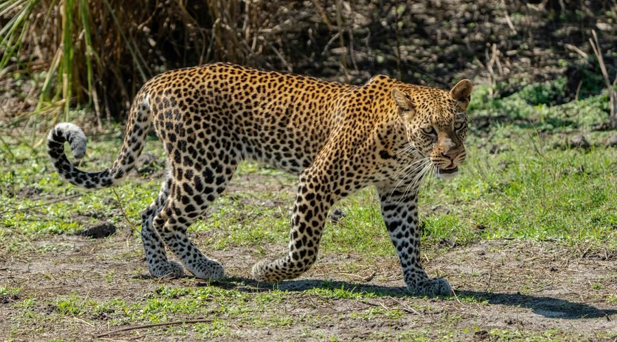 Best African Countries to Visit for Vacation in 2027: Top 10 Holiday Destinations