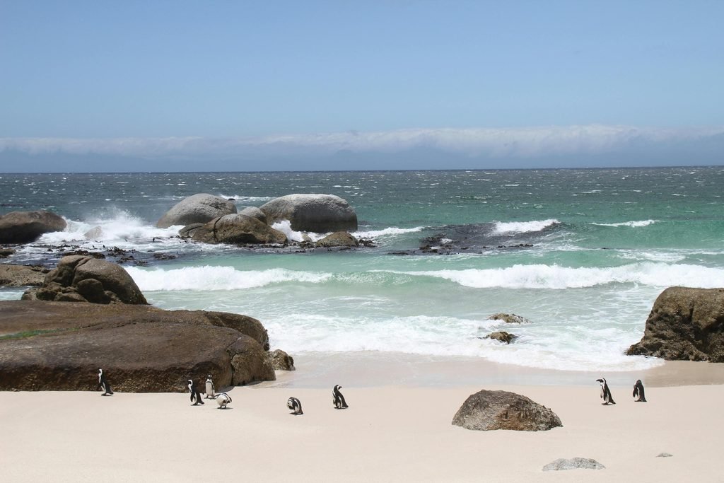 Best African Luxury Beach Resorts for a Perfect Coastal Escape