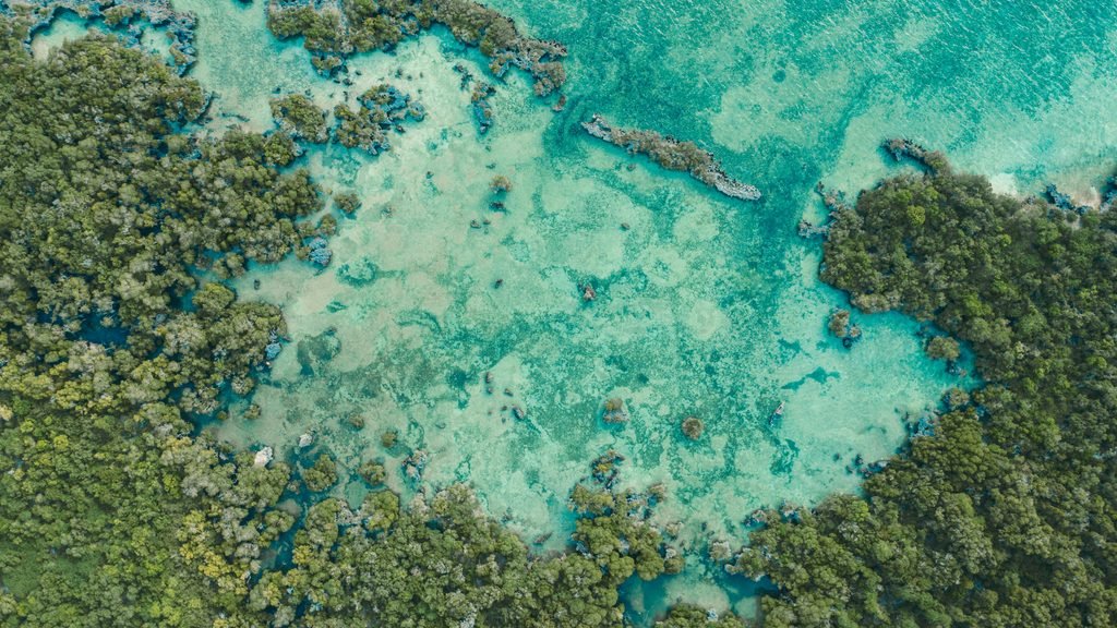 The Best 4-Day Zanzibar Beach Holiday Tour 2027/2028: Stone Town, Nungwi and Kendwa